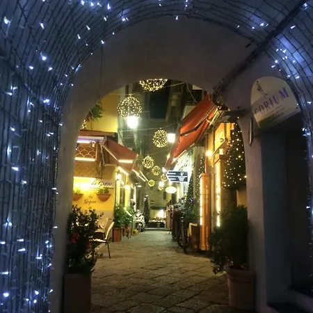 Terrazza Felicienne 아파트 *